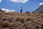 Lake Heron 101345.jpg